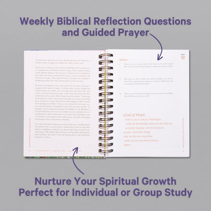 A Beautiful Year in the Bible Study